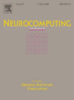 Neurocomputing