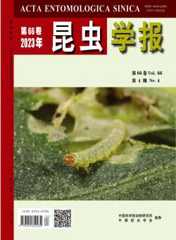 昆虫学报期刊