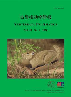 古脊椎动物学报期刊