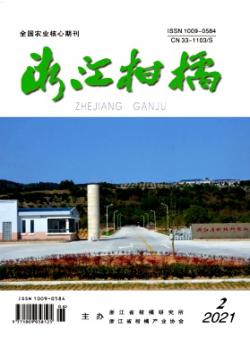 浙江柑橘期刊