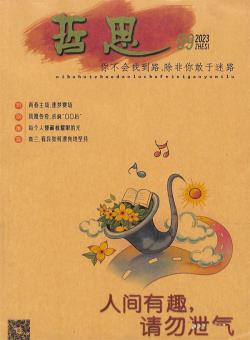 哲思杂志