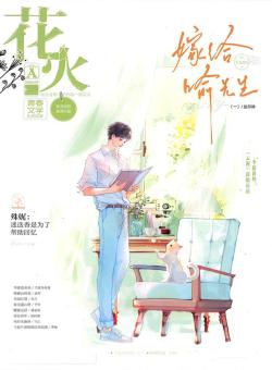 花火杂志