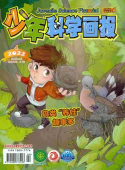 少年科学画报杂志