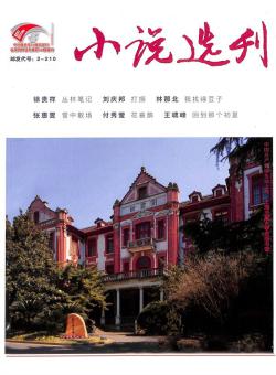 小说选刊杂志