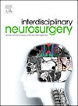 Interdisciplinary Neurosurgery-advanced Techniques And Case Management