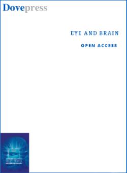 Eye And Brain