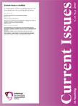 Current Issues In Auditing